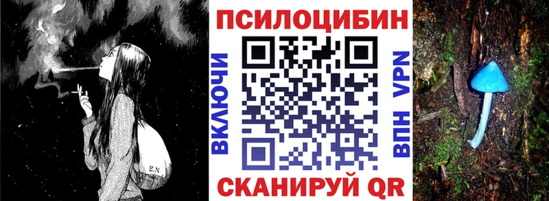 Купить закладки  Александровское  Галлюциногенные грибы Psilocybe 